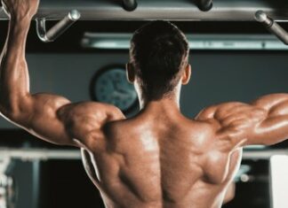 The Back and Its Exercise Routines