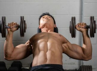 The Chest and Its Exercise Routines