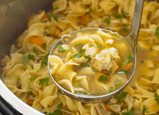 Homemade Instant Pot Chicken Noodle Soup